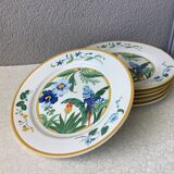 Ara Pier Import Japan Hibiscus and Parrot plates