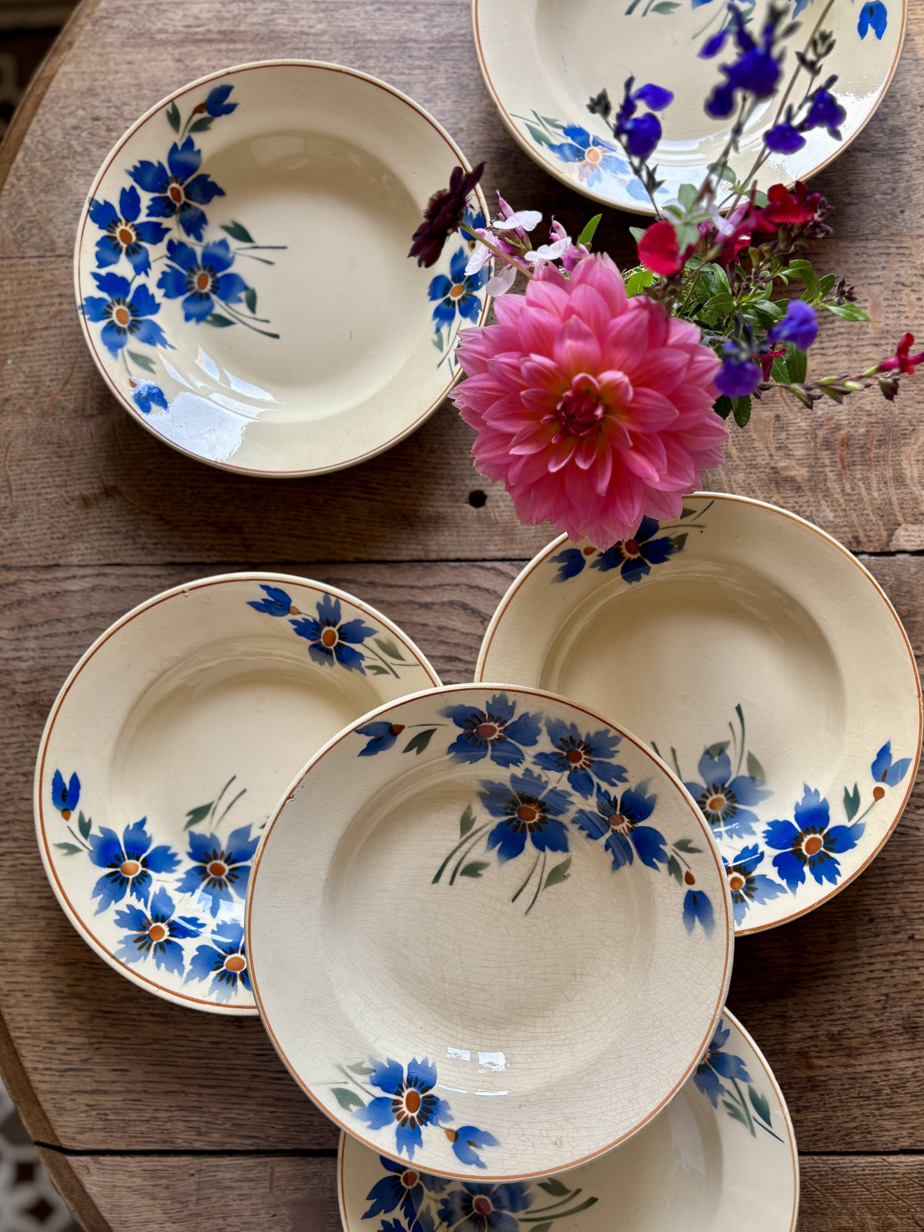 Set of 6 old-fashioned soup plates with blueberry decorations