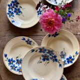 Set of 6 old-fashioned soup plates with blueberry decorations