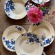 Set of 6 old-fashioned soup plates with blueberry decorations