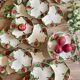 Antique barbotine service with Choisy le Roi apple decorations