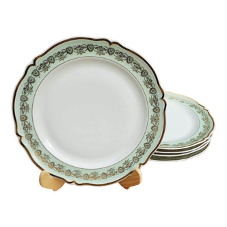 5 assiettes plates en porcelaine