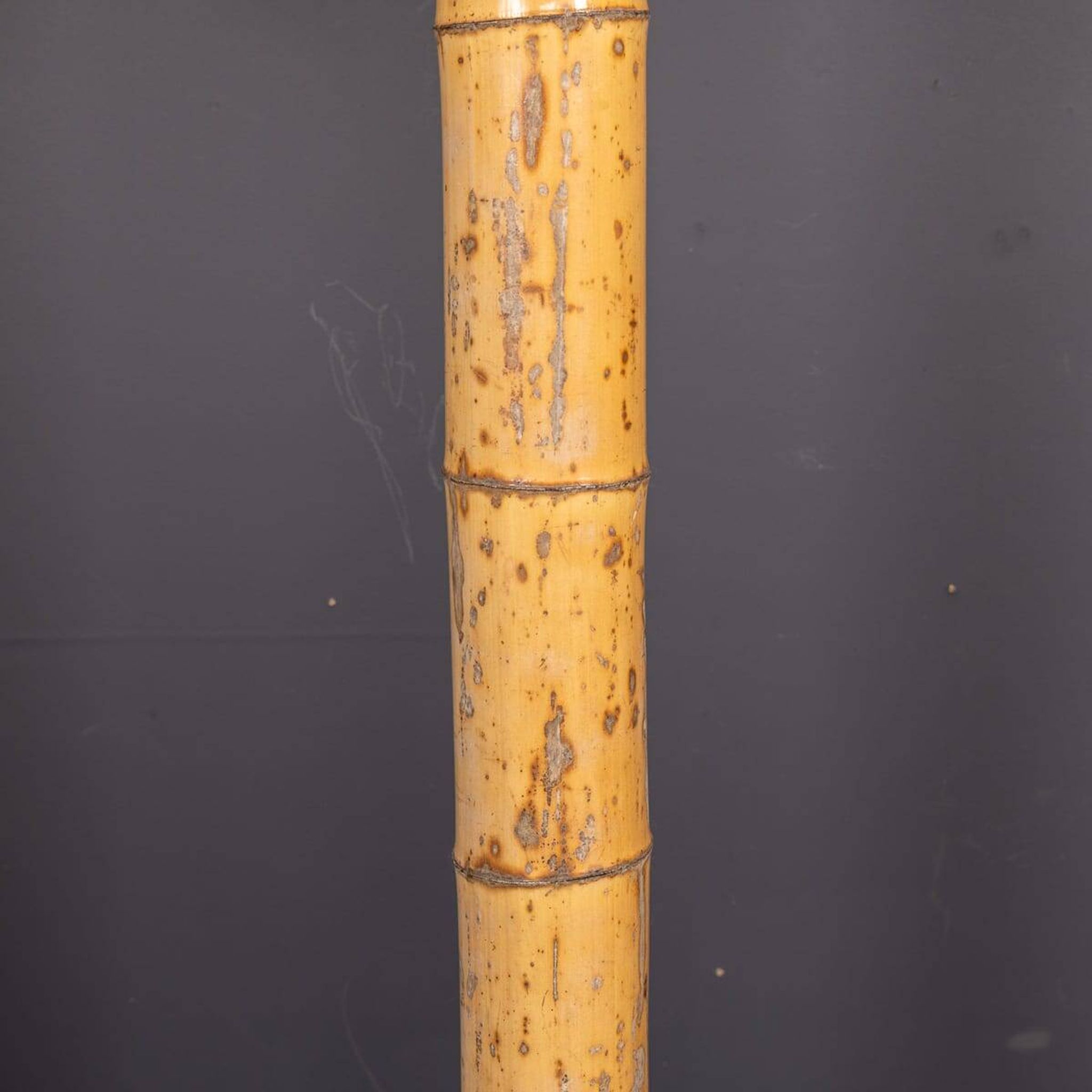 20thC French Palm Tree Floor Lamp, Christian Techoueyres For Maison Jansen