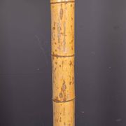 20thC French Palm Tree Floor Lamp, Christian Techoueyres For Maison Jansen