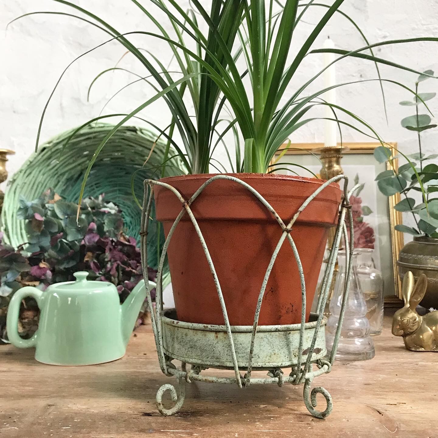 Green metal plant door