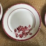 Series of 8 flat plates