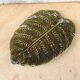 Asparagus dish in the shape of a Fern - Atelier d'art Sarreguemines