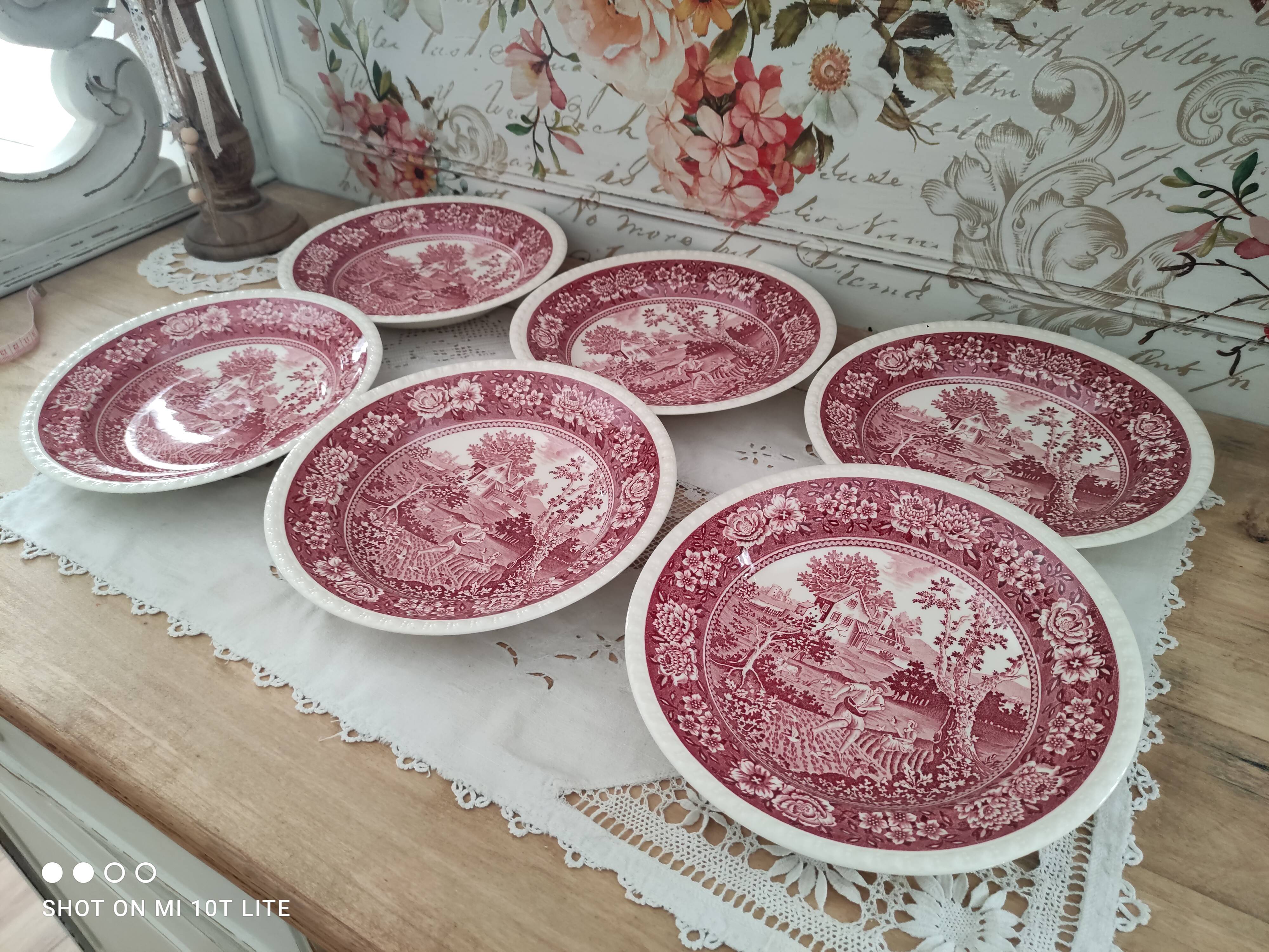 Set of 6 hollow plates in opaque porcelain Villeroy & Boch model Rusticana red English décor