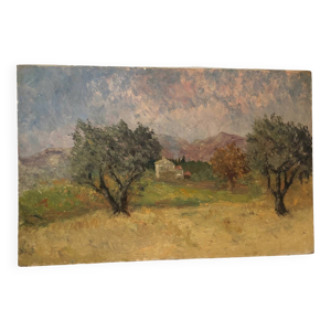 Tableau à l'huile Oliviers