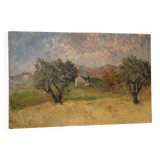 Tableau à l'huile Oliviers