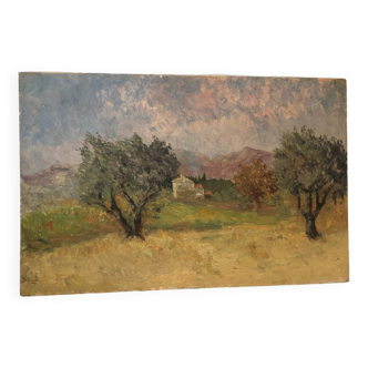Oil painting Olive trees