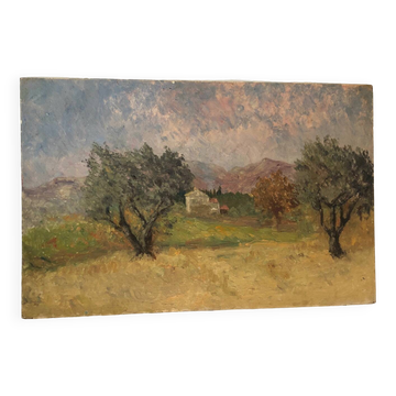 Oil painting of olive trees