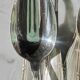 12 cuillères à soupe Reneka