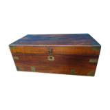 Old marine trunk in camphor tree