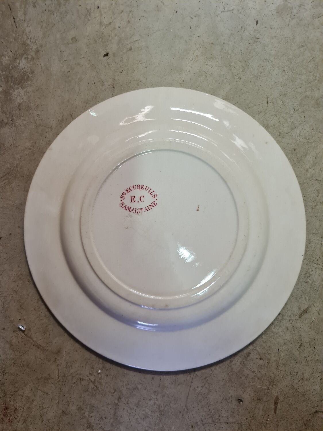 Samaritan Squirrel Service EC