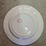 Samaritan Squirrel Service EC