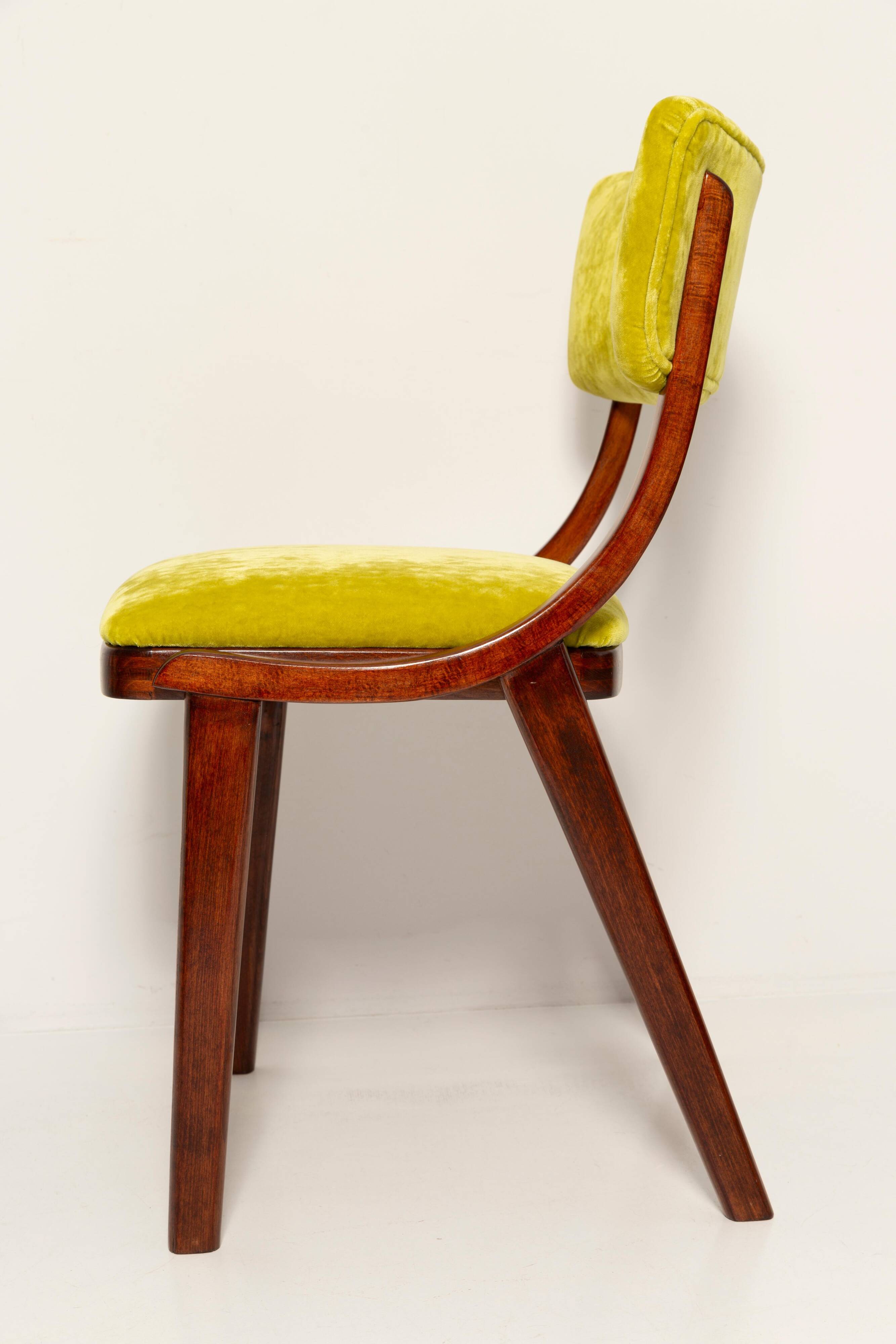 Chaise Mid-Century Moderne, Velours Vert Citron, FR Dedar, Pologne, Années 1960