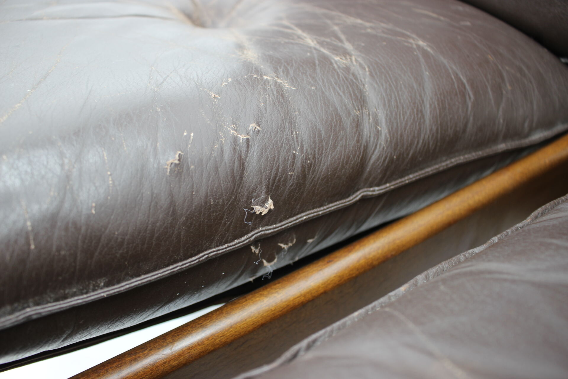 1980s Office Room Modul Set from Ton/Thonet, Czechoslovakia