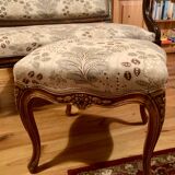 Vintage Louis XVI style bench and footrest