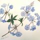 Tableau aquarelle fleurs de plumbago
