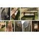 Oak workbench in raw wood