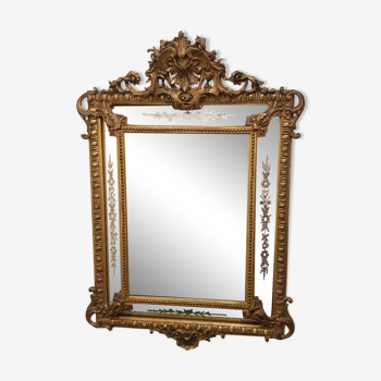 Mirror with parecloses