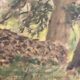 Vintage landscape painting