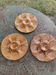 3 plates with oysters, shells, ceramic slurry ochre, majolica, made in portugal