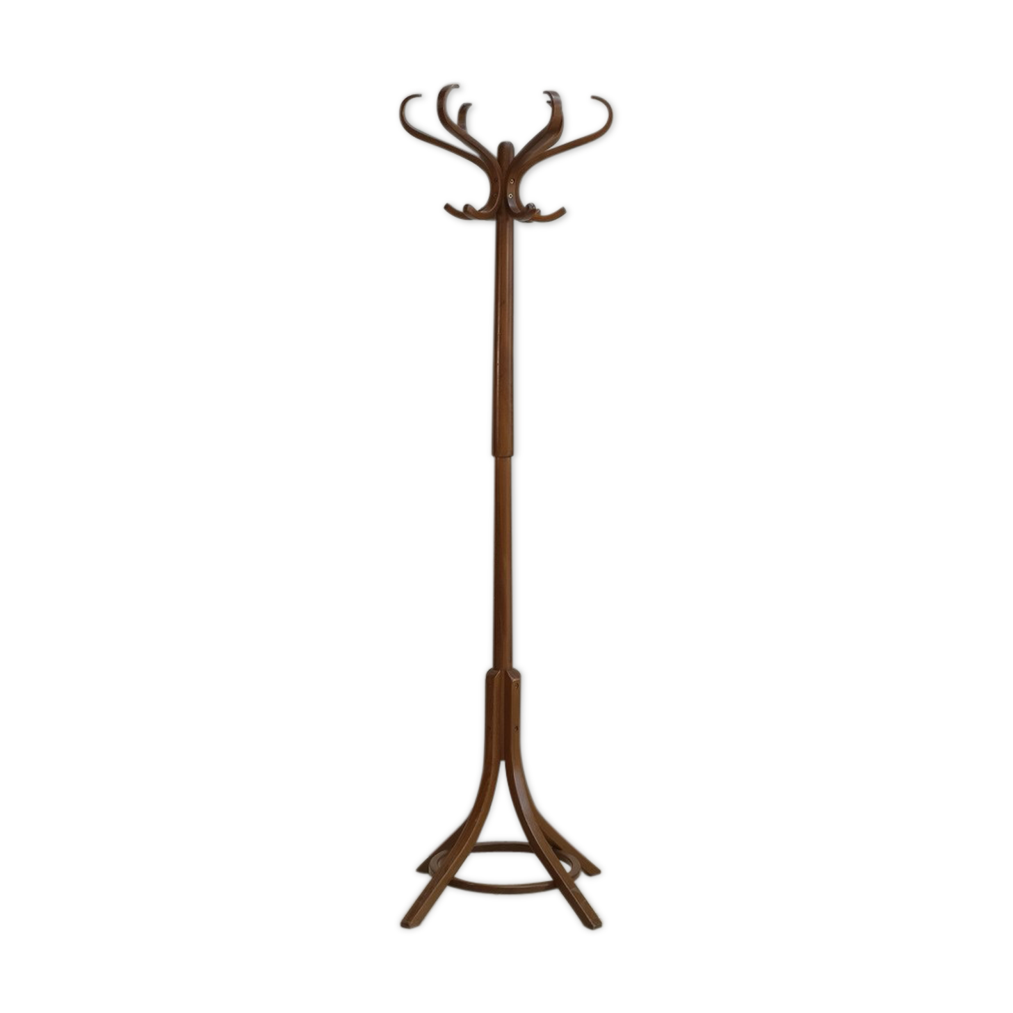 Baumann parrot coat holder
