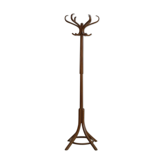 Baumann parrot coat holder