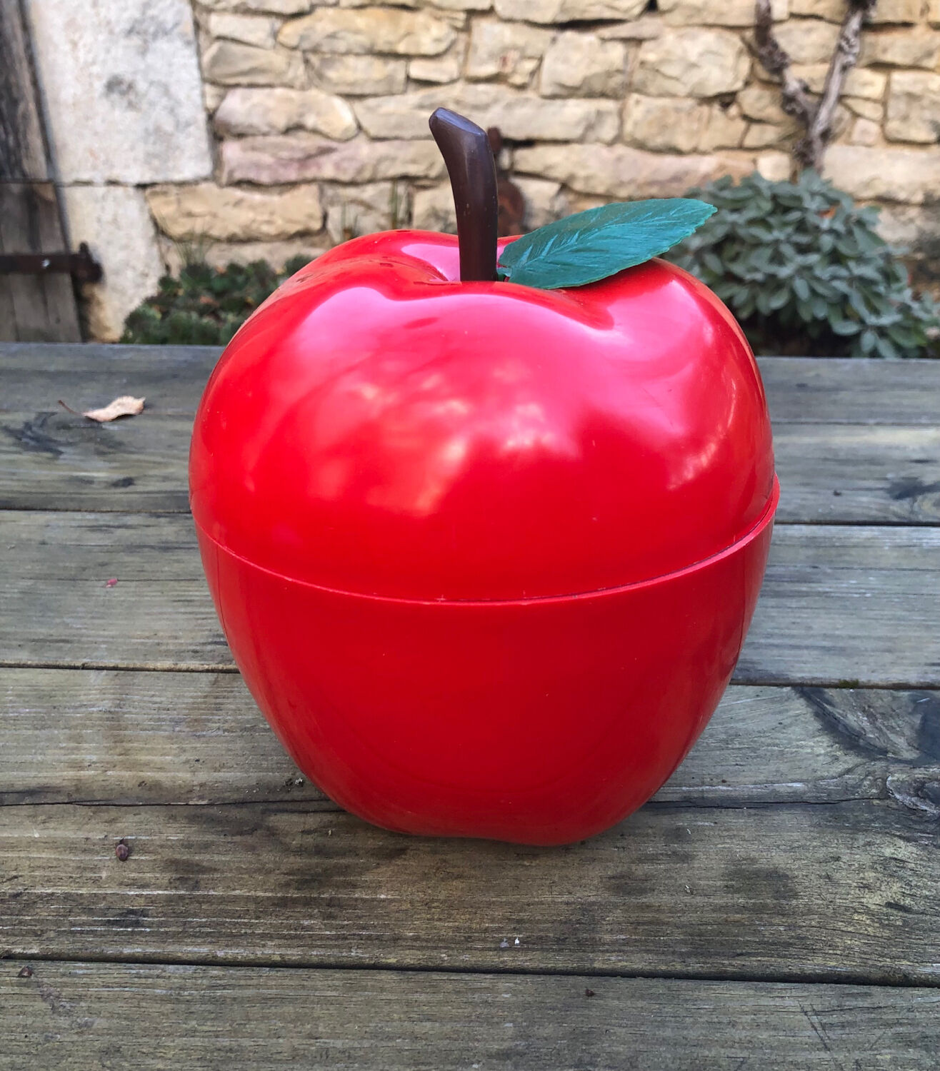 Vintage ice cube apple