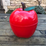 Vintage ice cube apple