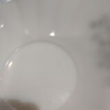 Salad bowl Arcopal Fruits of France