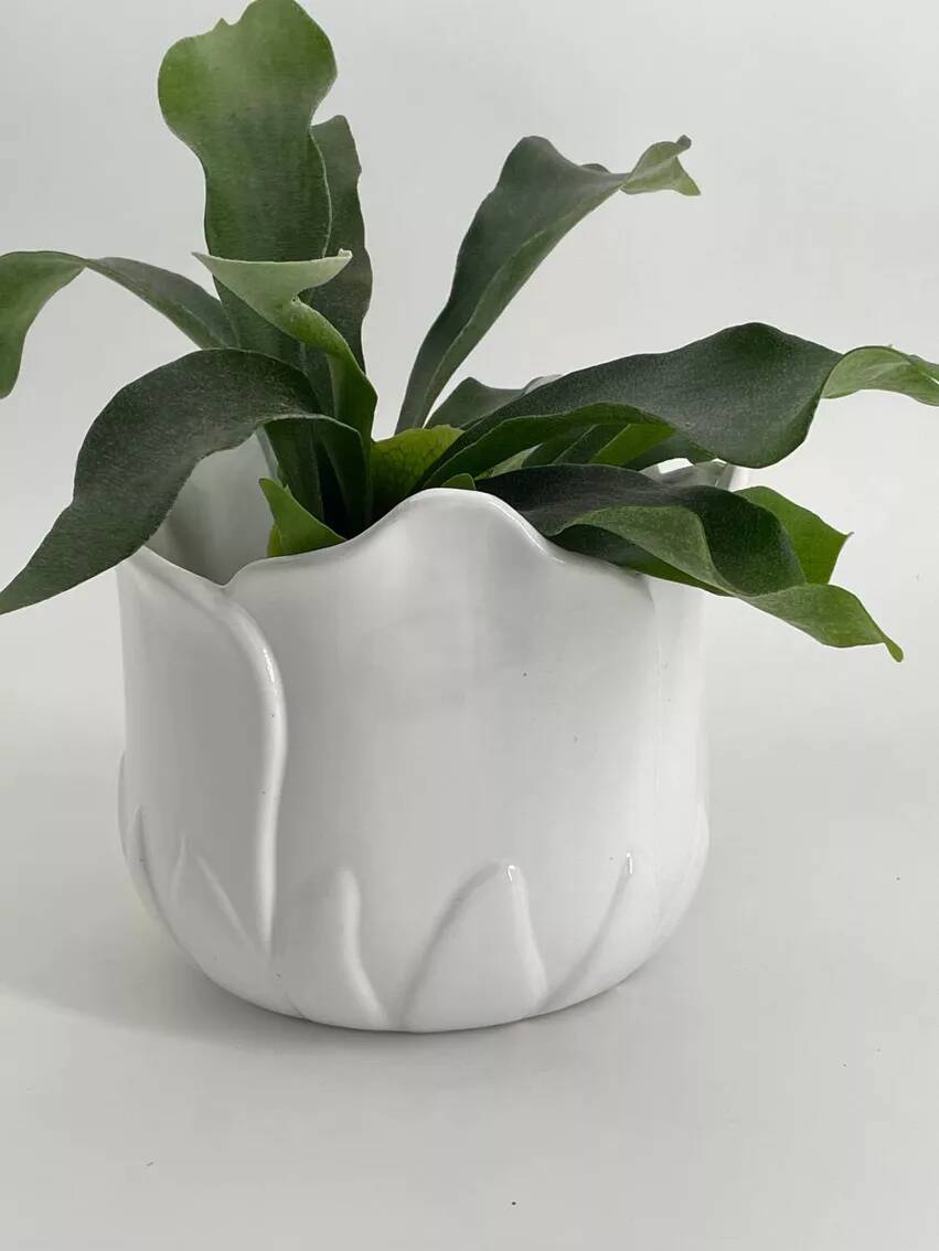 Cache-pot vintage en forme de tulipe en porcelaine blanche