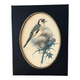 Former naturalist Ph Gonner