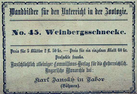 Educational poster, snail, lithograph, Karl Jansky, Böhmen, 1897