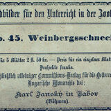 Educational poster, snail, lithograph, Karl Jansky, Böhmen, 1897