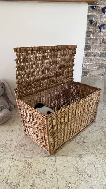 Vintage Rattan Chest Basket