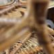 Vintage round side table in rattan – 1960s/70s
