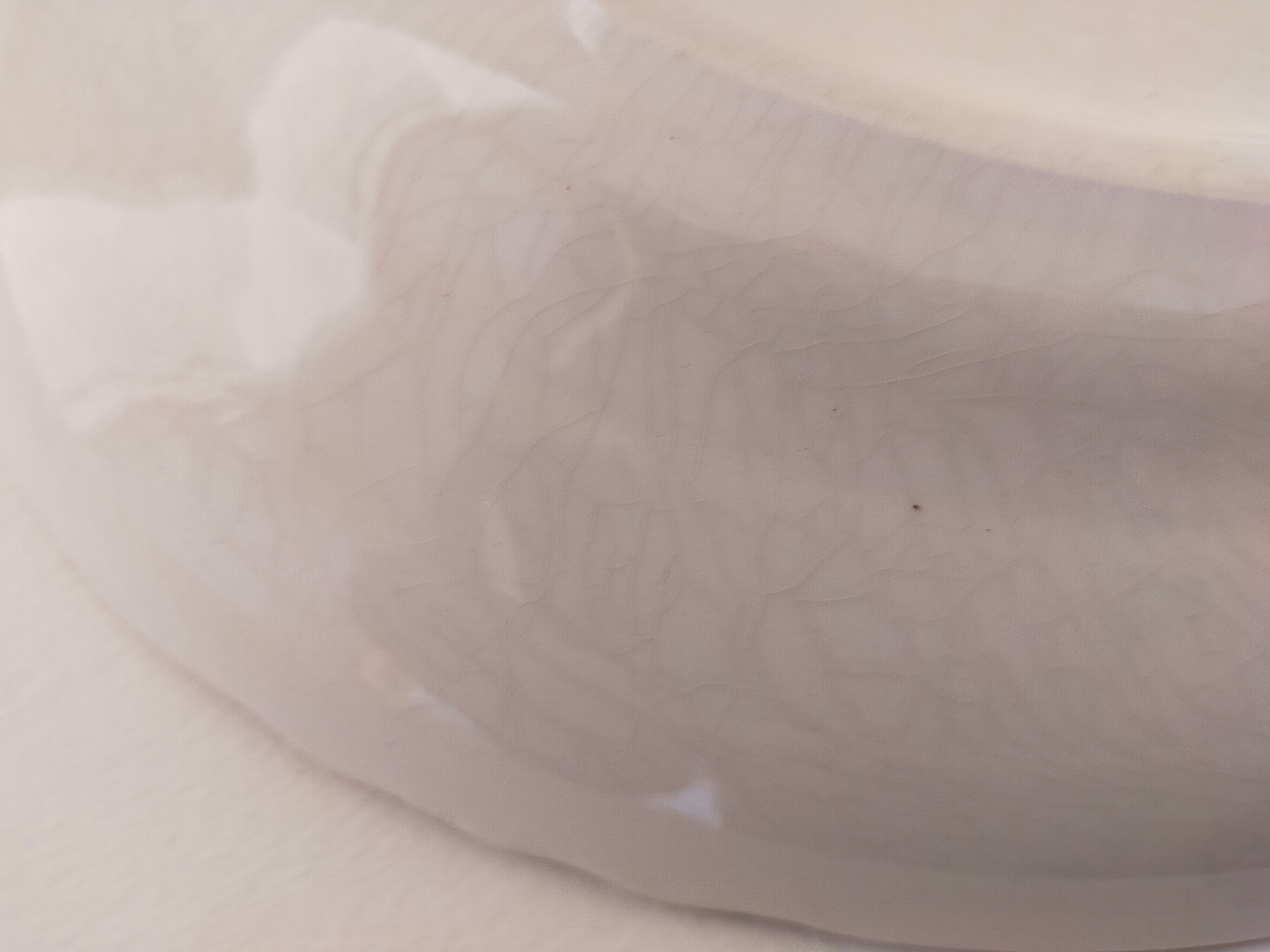 Moulin des loups serving dish