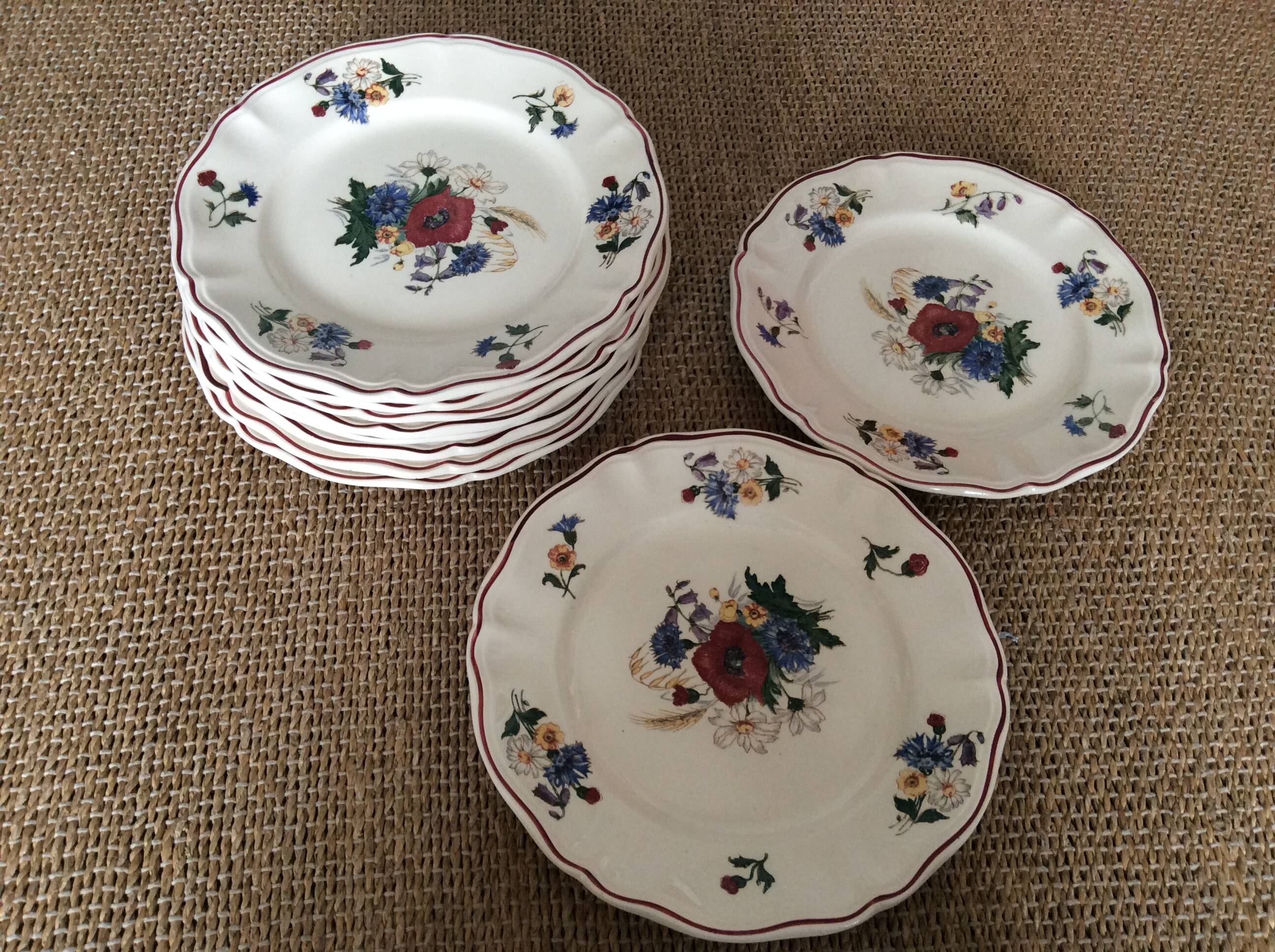 11 dinner plates