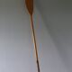 Nautisport oar paddles