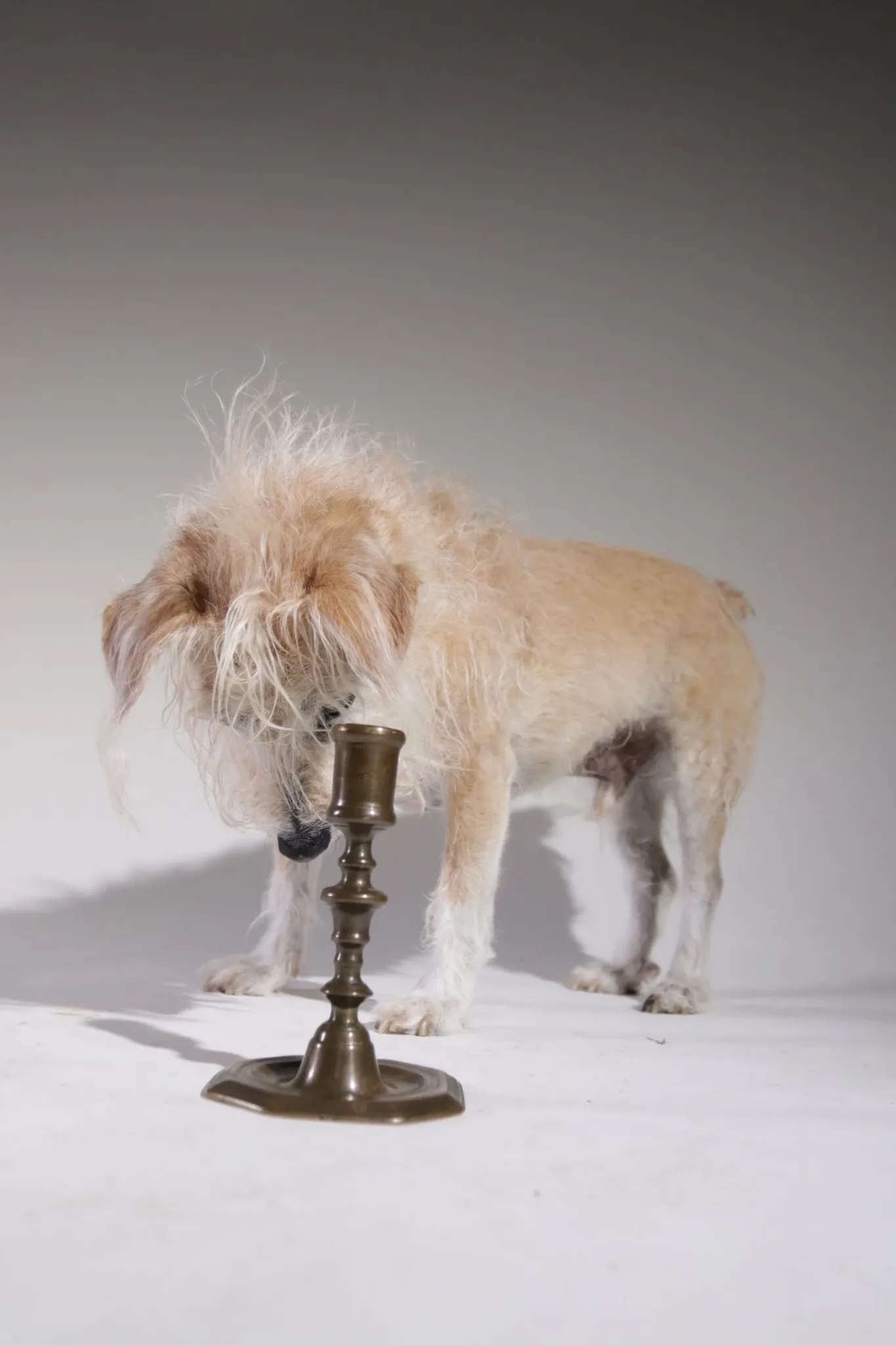 French 18th-century brass candlestick – Louis XV