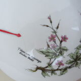 Assiettes à dessert porcelaine fine  de Bavière -botaniqu