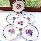 6 Salsola flat plates