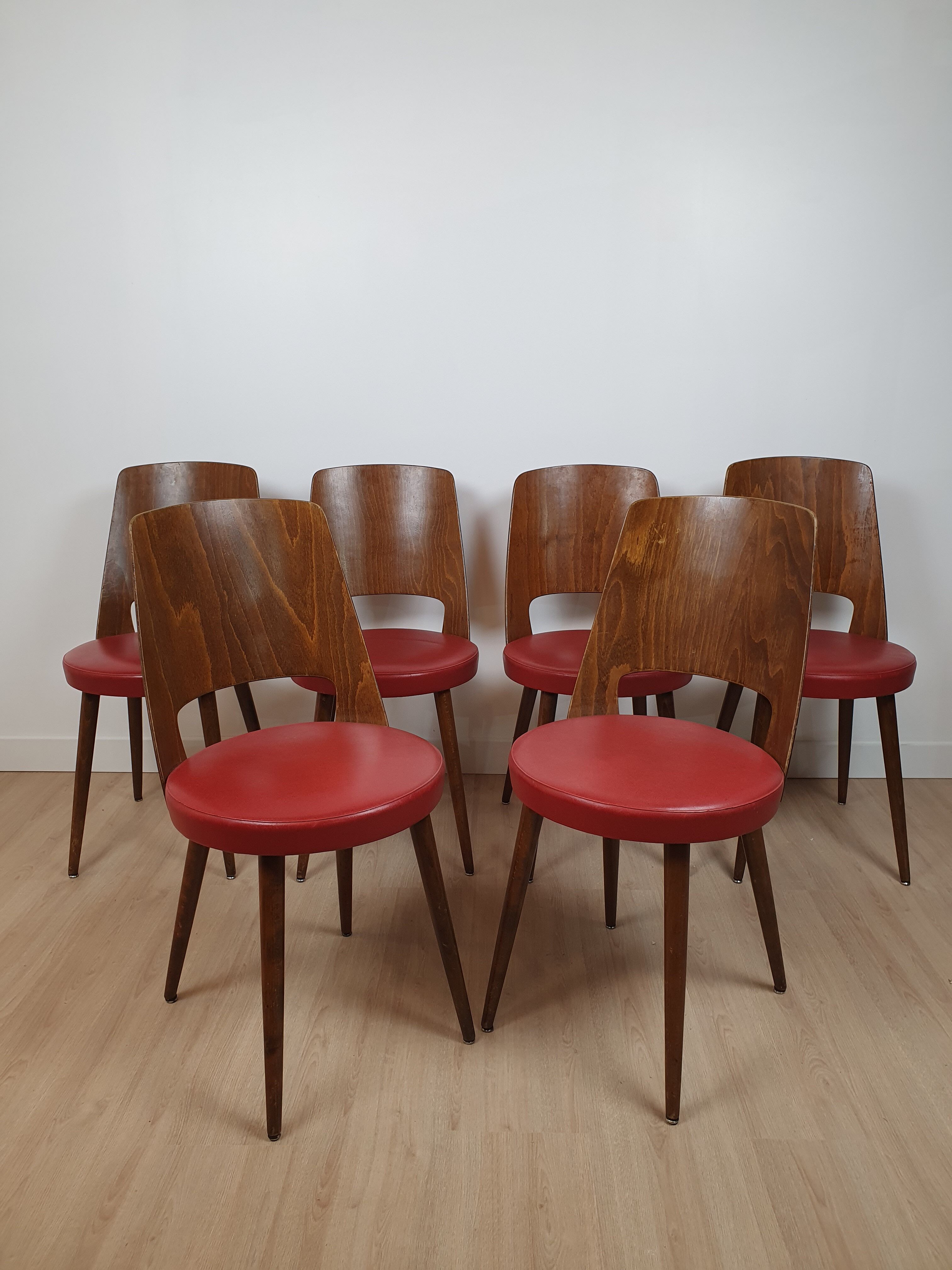 6 Baumann chairs model Mondor