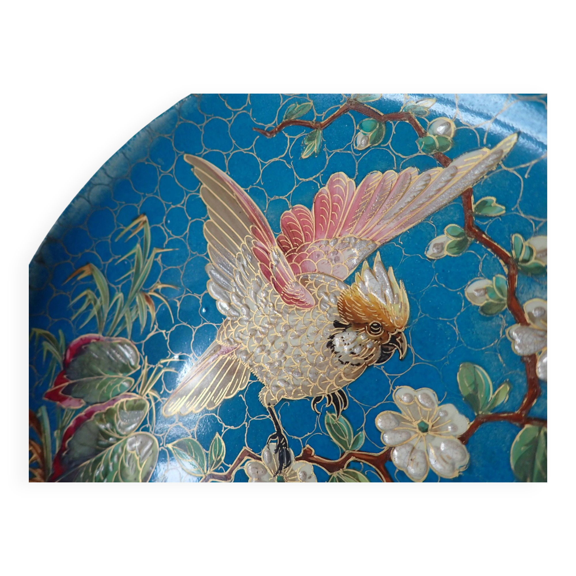 Exotic bird plate late 19th century - B & Cie Creil & Montereau