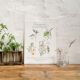 Botanical tea board to help children sleep