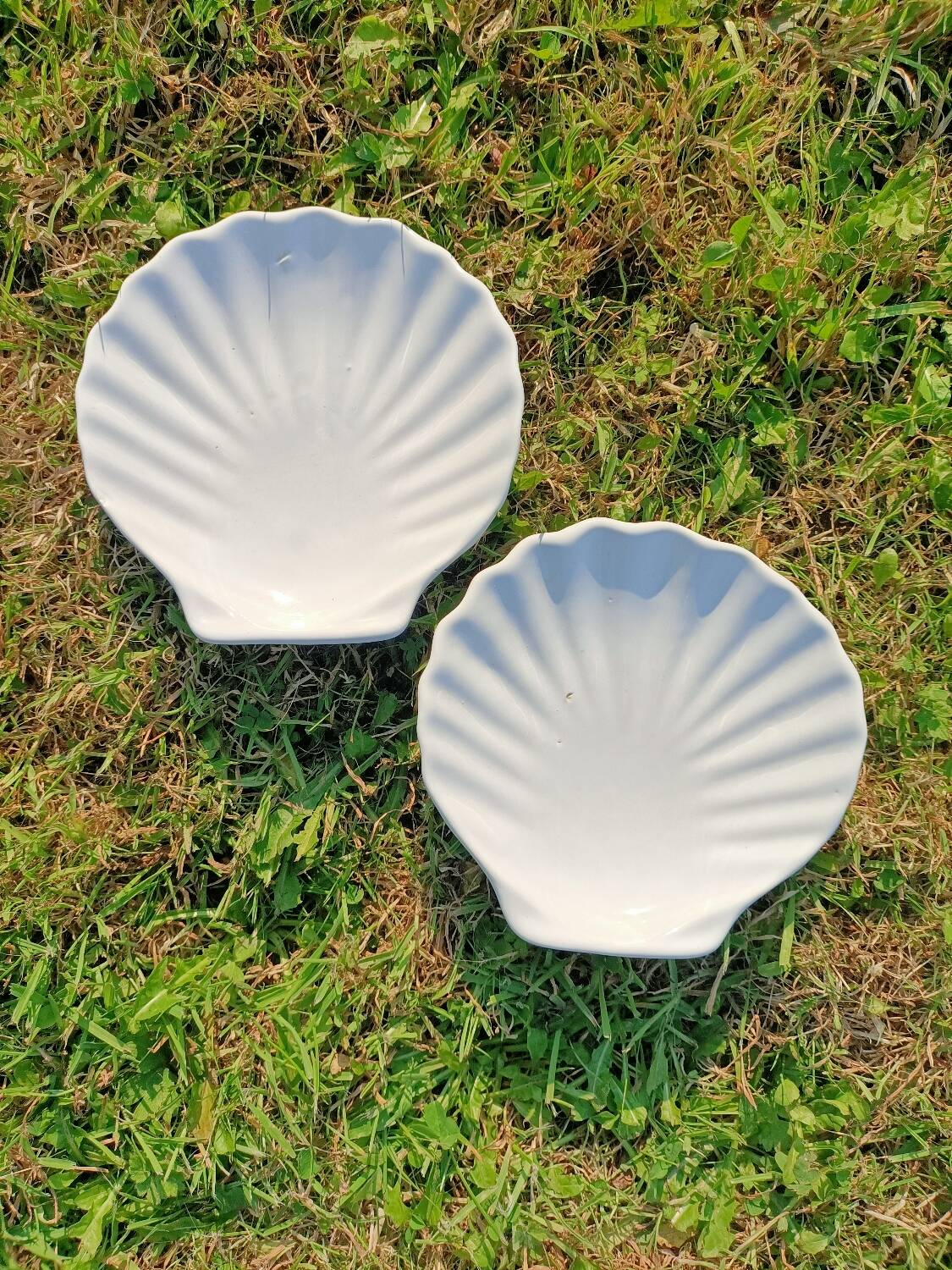 Scallop Shell Soap Dish