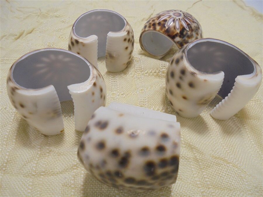 Set of 5 rounds of shell towel